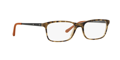 Ralph Lauren RL6134 Eyeglasses | Size 53