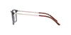 Ralph Lauren RL6183 Eyeglasses | Size 55 / Matte Transparent Grey №5322