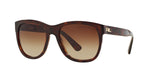 Ralph Lauren RL8141 Sunglasses Shiny Dark Havana / Gradient Brown