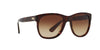 Ralph Lauren RL8141 Sunglasses | Size 56 / Shiny Dark Havana / Gradient Brown (3N 14.6%)