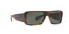 Ralph Lauren RL8163P Sunglasses | Size 57 / Shiny Jerry Havana / Green (3N 14%)