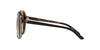 Ralph Lauren RL8166 Sunglasses | Size 57 / Shiny Black On Jerry Havana / Polar Gradient Brown (2P 19%)