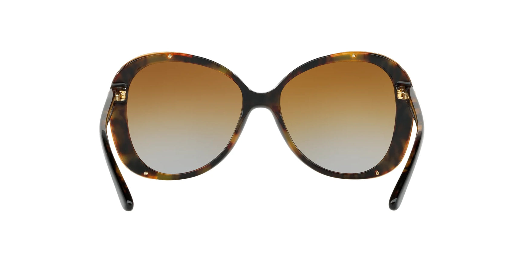 Ralph Lauren RL8166 Sunglasses | Size 57
