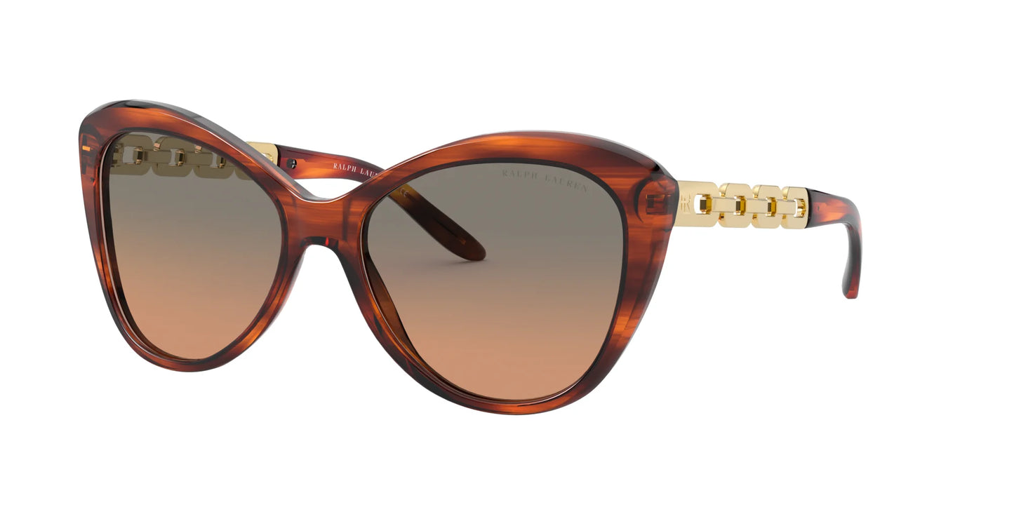 Ralph Lauren RL8184 Sunglasses Shiny Striped Havana / Grey Gradient Orange
