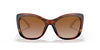 Ralph Lauren RL8192 Sunglasses | Size 56 / Shiny Striped Havana №500713 / Brown Gradient Dark Brown (2N 26.5%)