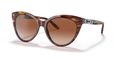 Ralph Lauren RL8195B Sunglasses Shiny Striped Havana / Gradient Brown