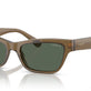 Transparent Dark Khaki