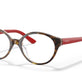 Top Havana / Transparent